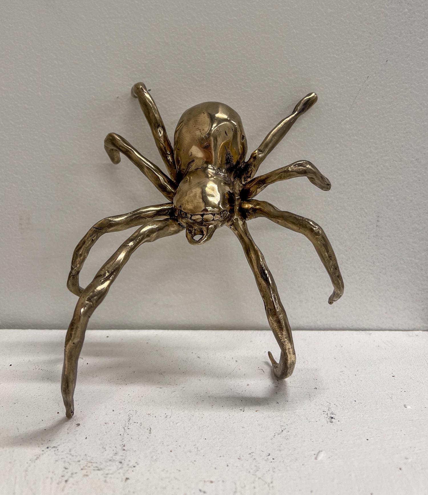 Bronze Spider Crown study, 2024